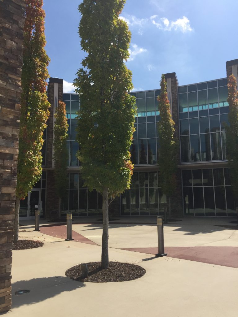 John C. Maxwell Leadership Center - Get Paid to Speak
